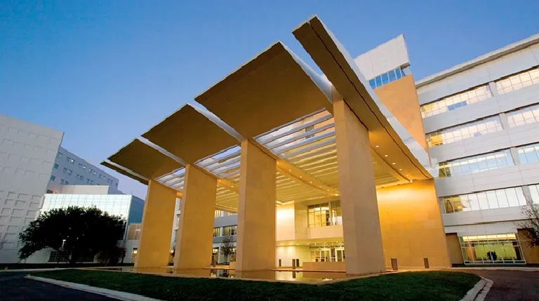 trabajo de Difel Mármol en Clínica Mayo