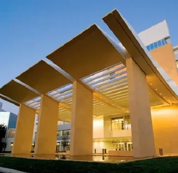 Trabajo en Mayo clinic hecho por Difel