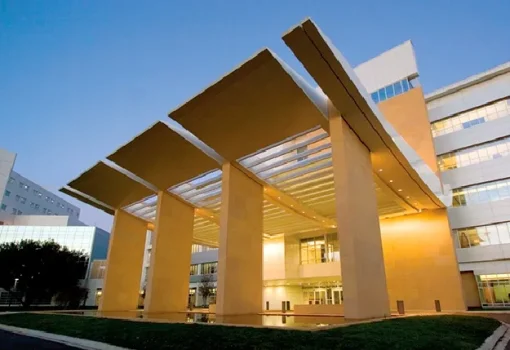 trabajo de Difel Mármol en Clínica Mayo